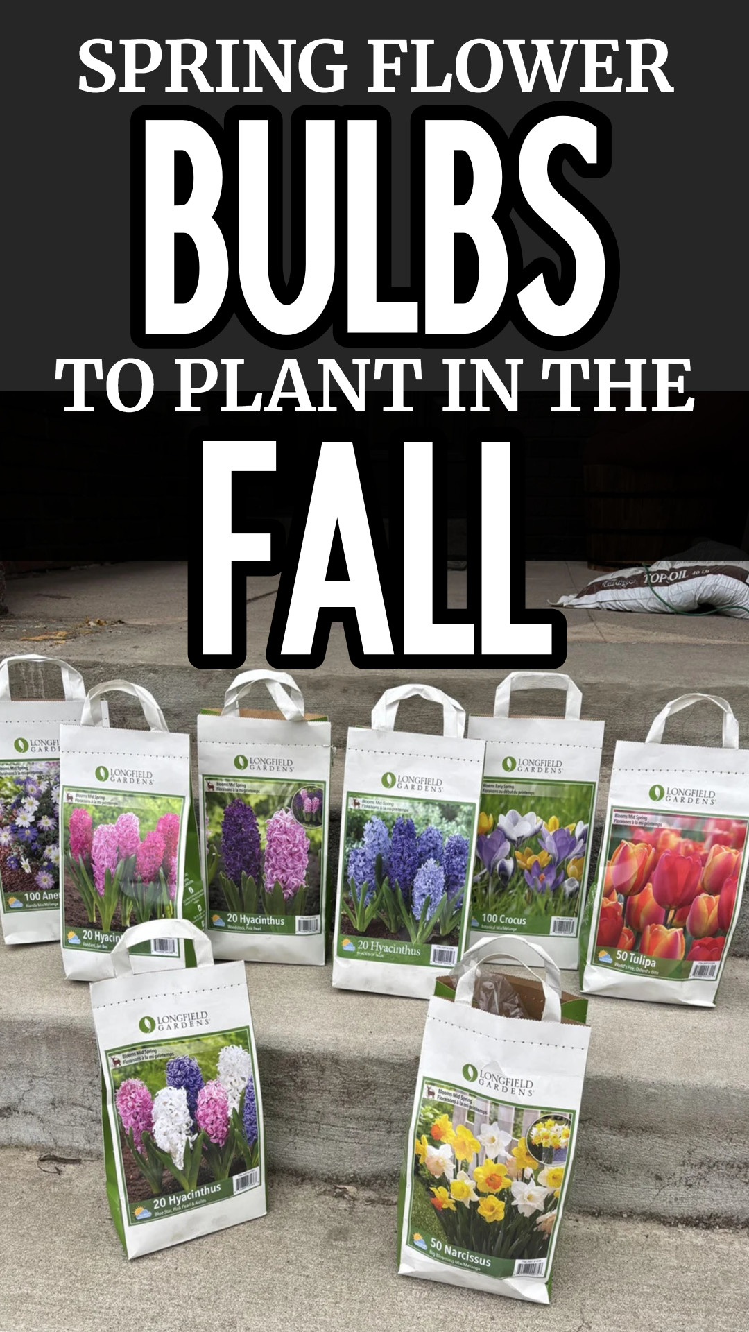 Flower Bed Designs For Winter and Fall (colorful cold weather ideas!)