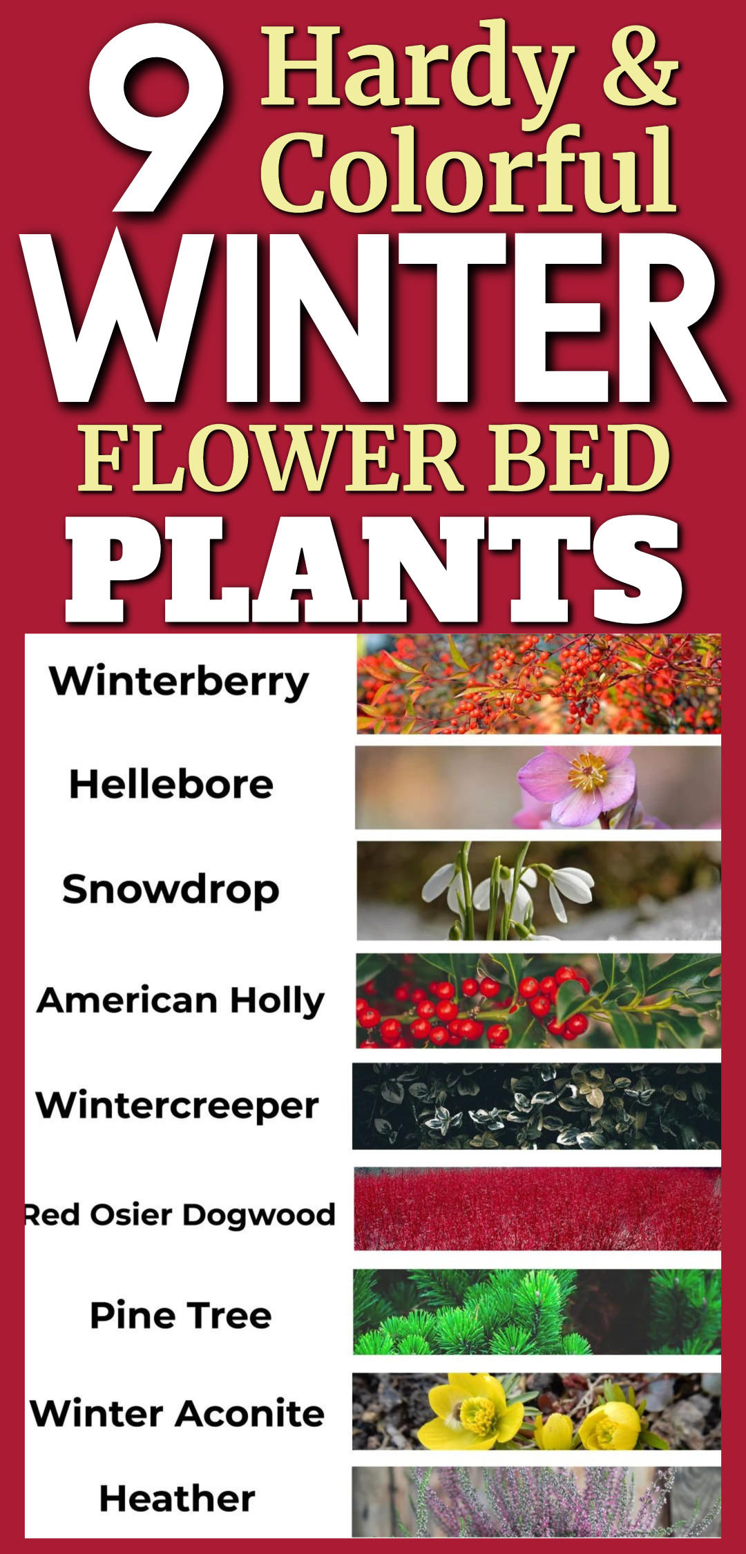 Flower Bed Designs For Winter and Fall (colorful cold weather ideas!)