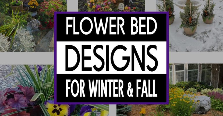 winter flower bed designs fall layouts