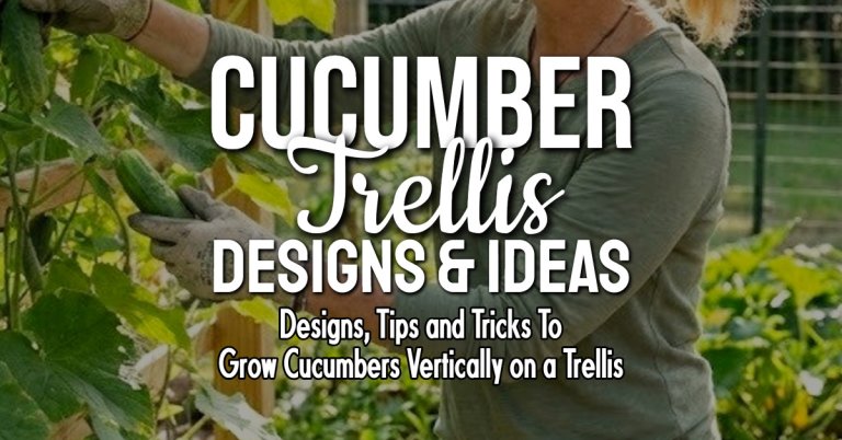 cucumber trellis ideas from PotPieGirl
