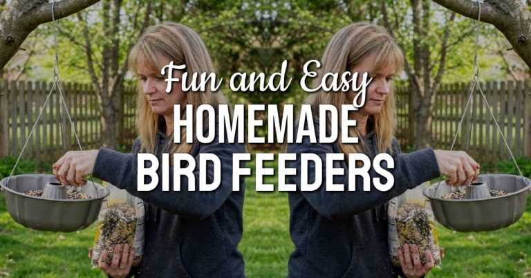 DIY bird feeder ideas from PotPieGirl