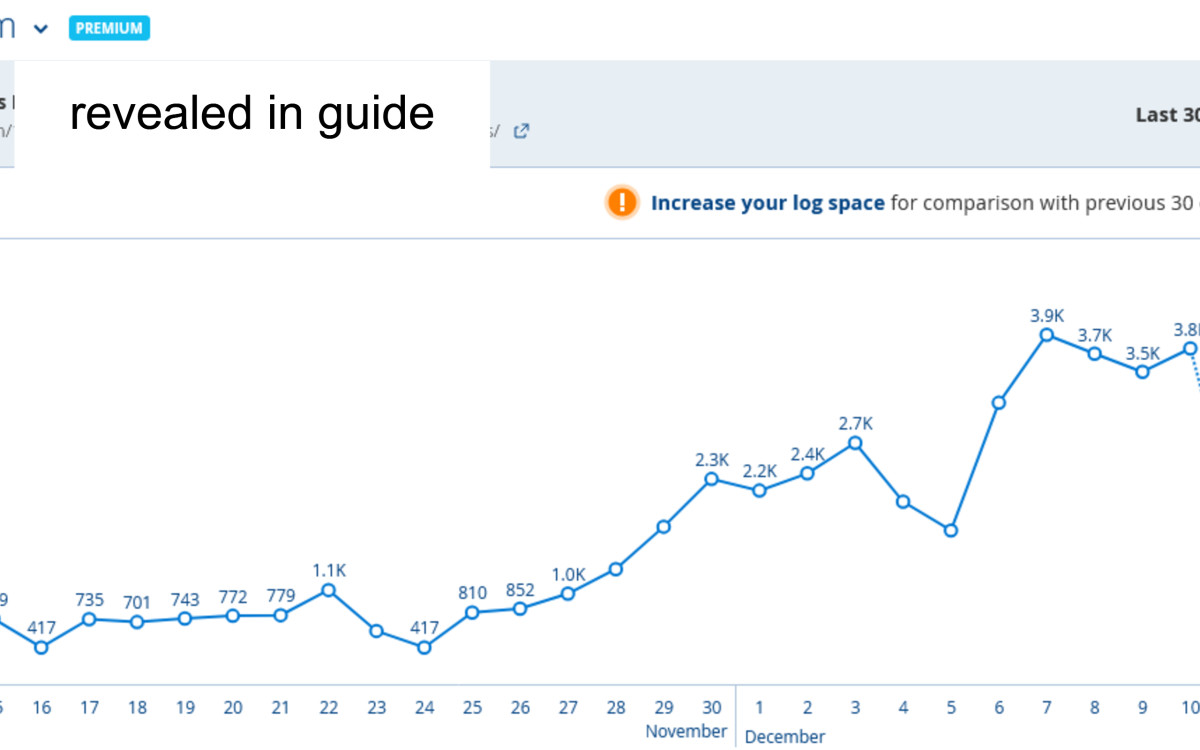 the-new-roundup-potpiegirl-daily-traffic